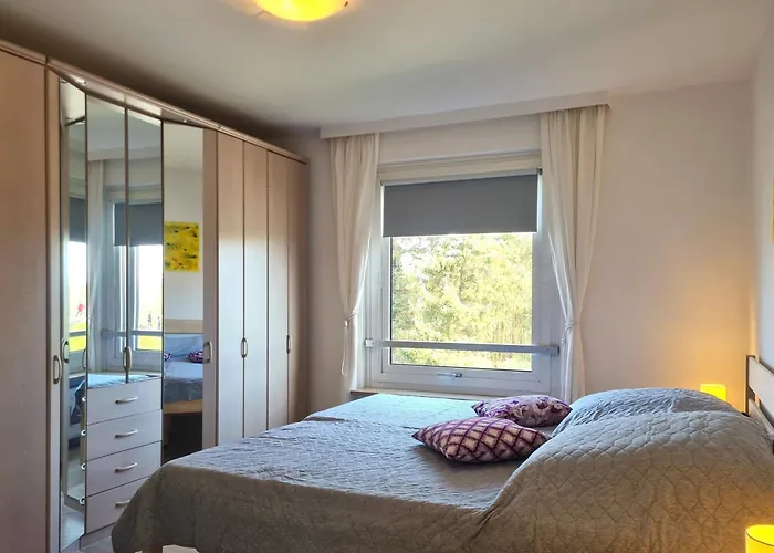 Hanseat Ii, App 119 -seeseitedeich